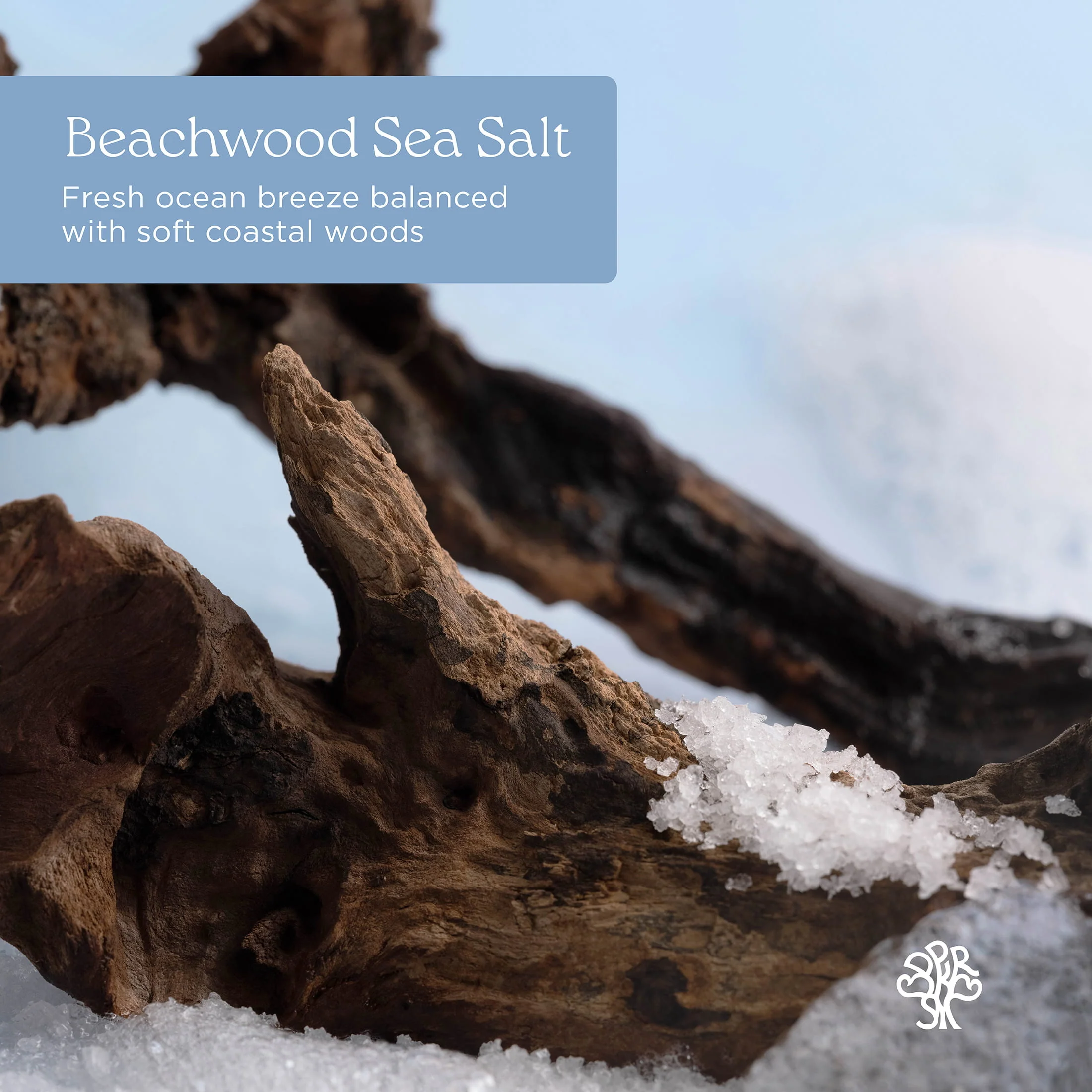 Beachwood Sea Salt Anti-Frizz Conditioner - Image 3