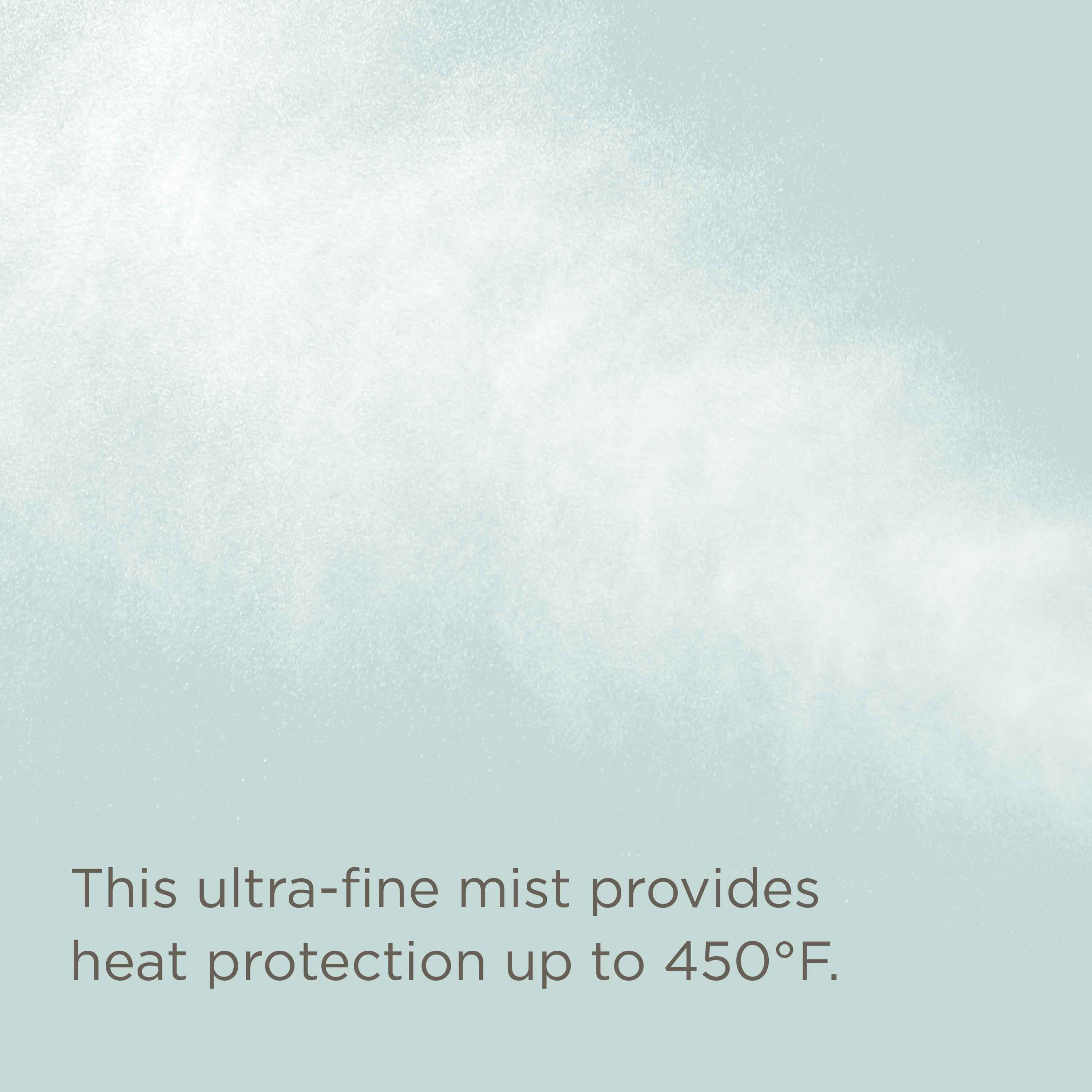 Fry No More Heat Protectant Mist - Image 5