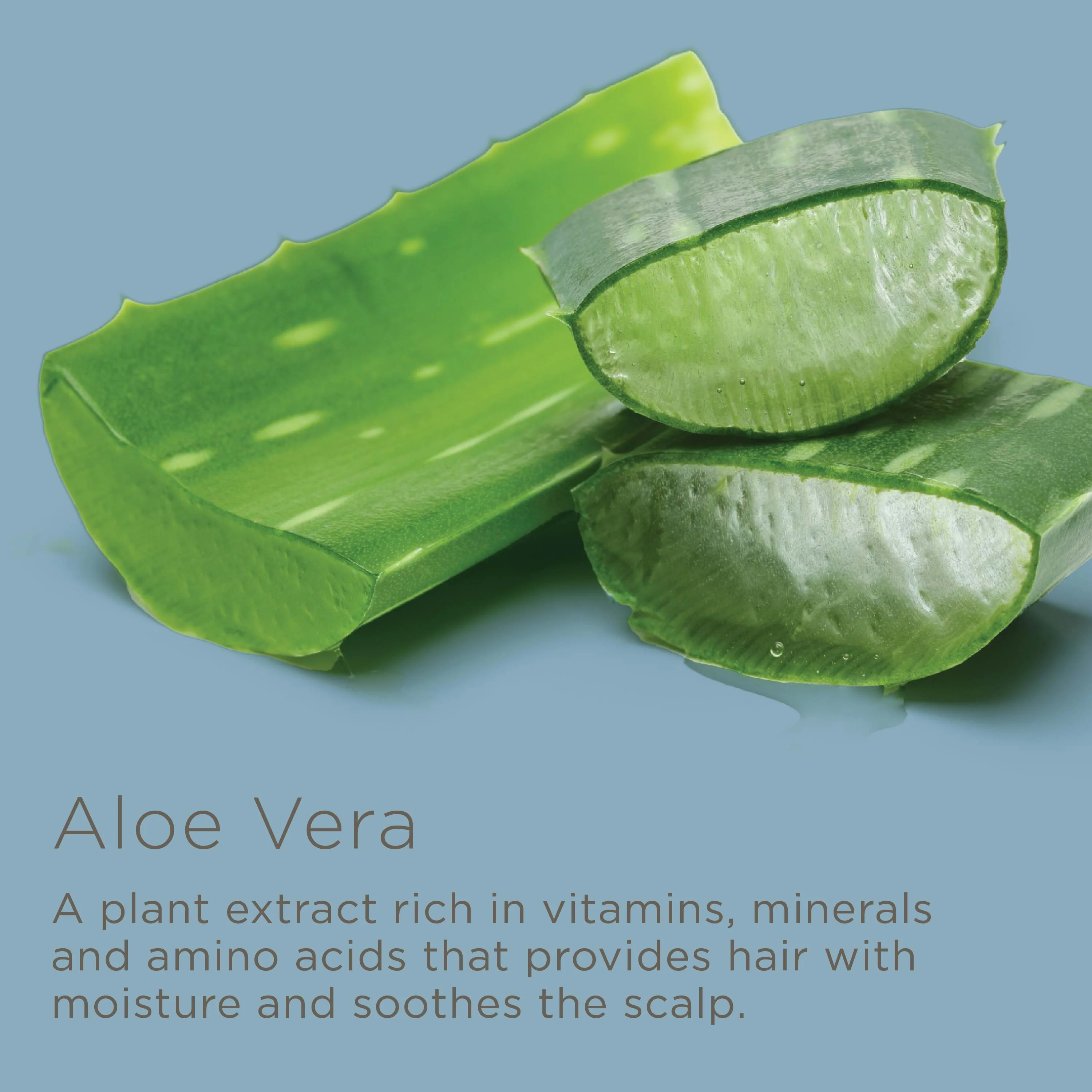 Don’t Wait Up Overnight Scalp Relief Mist with Aloe Vera | Soothes Dry, Itchy Scalp  4 fl oz - Image 5