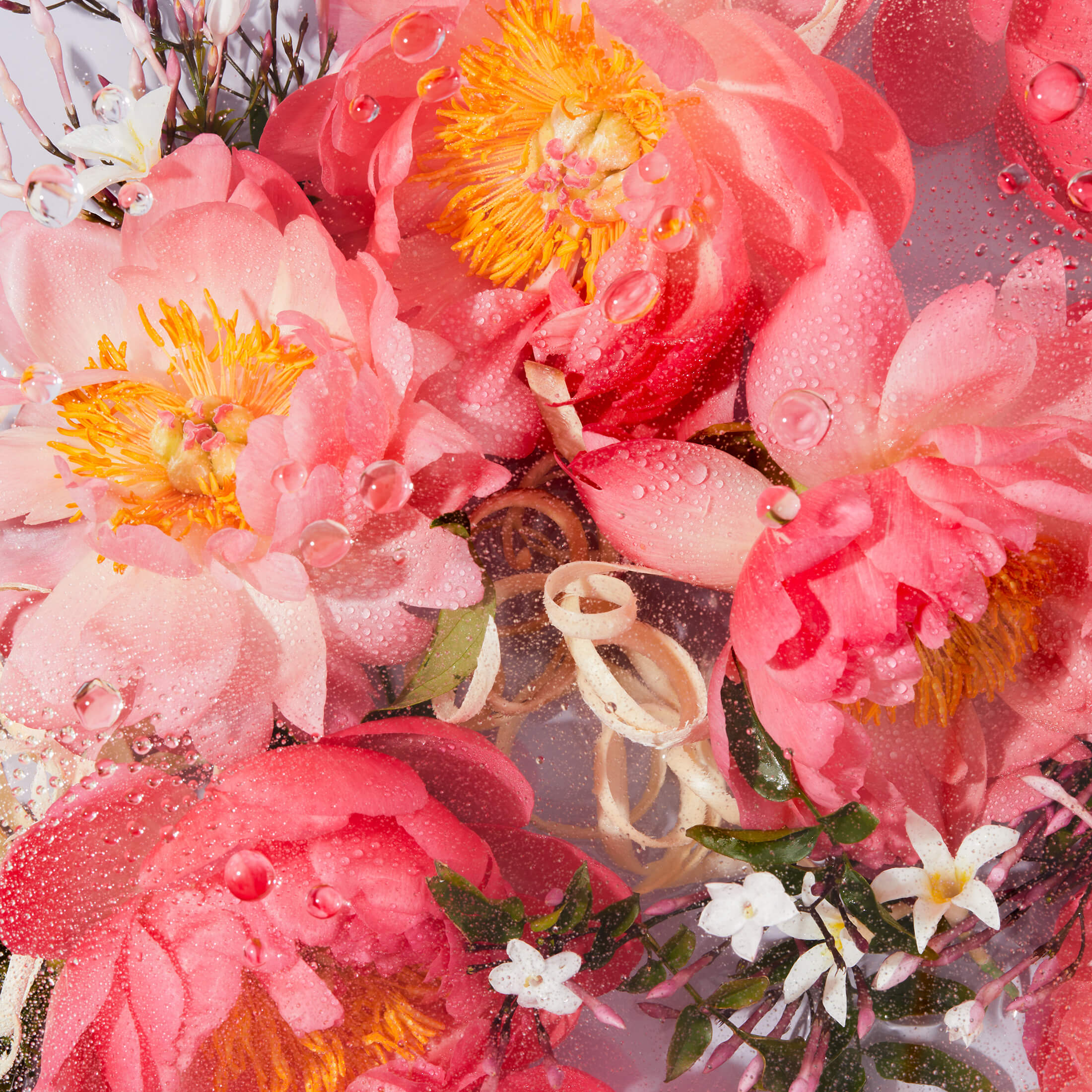 Lay it thick Body Butter, Peony & Cypress - Image 4